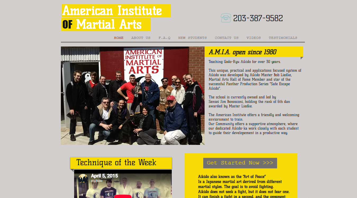 Website screenshot for American Institute of Martial Arts
