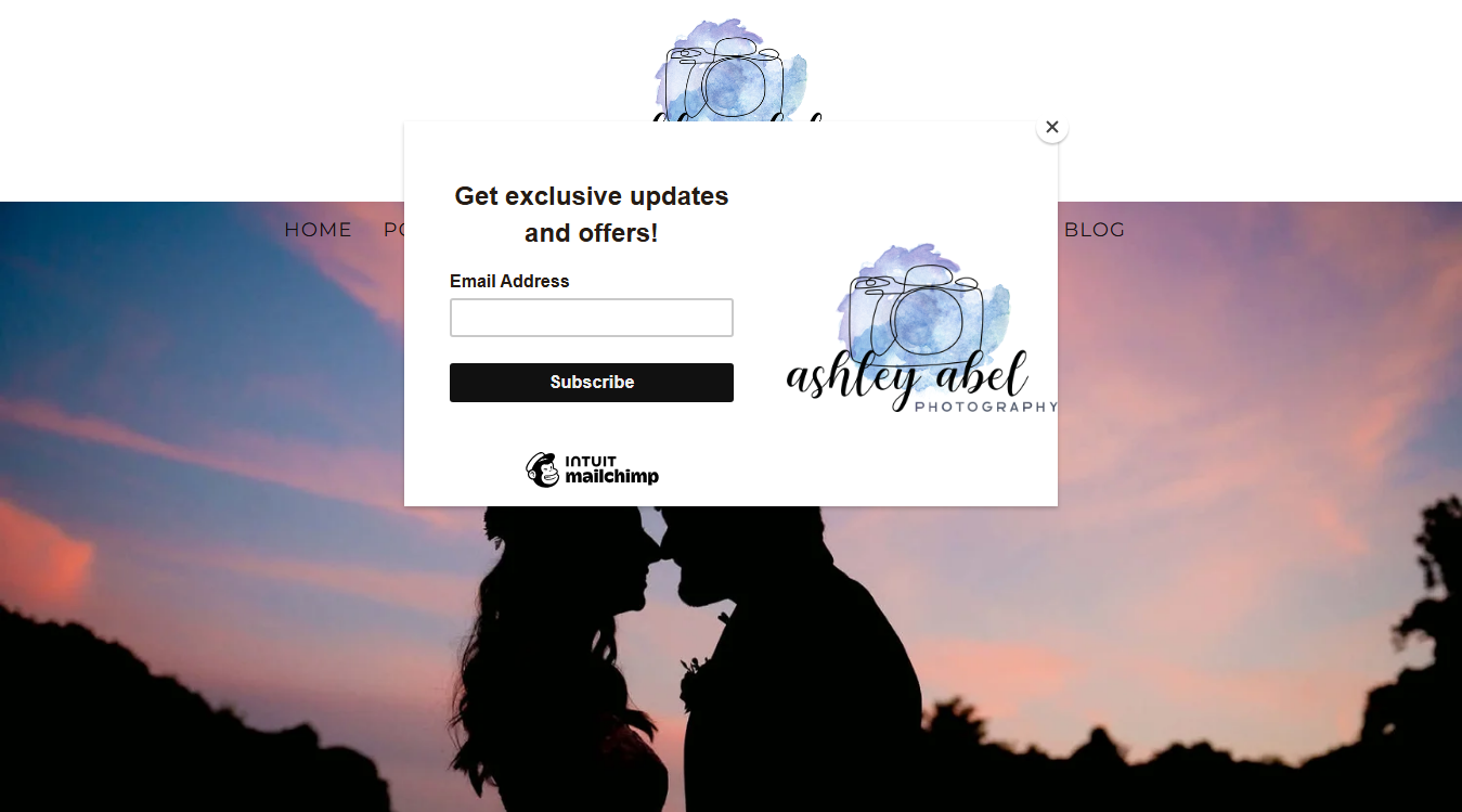 Website screenshot for Ashley Abel Photography