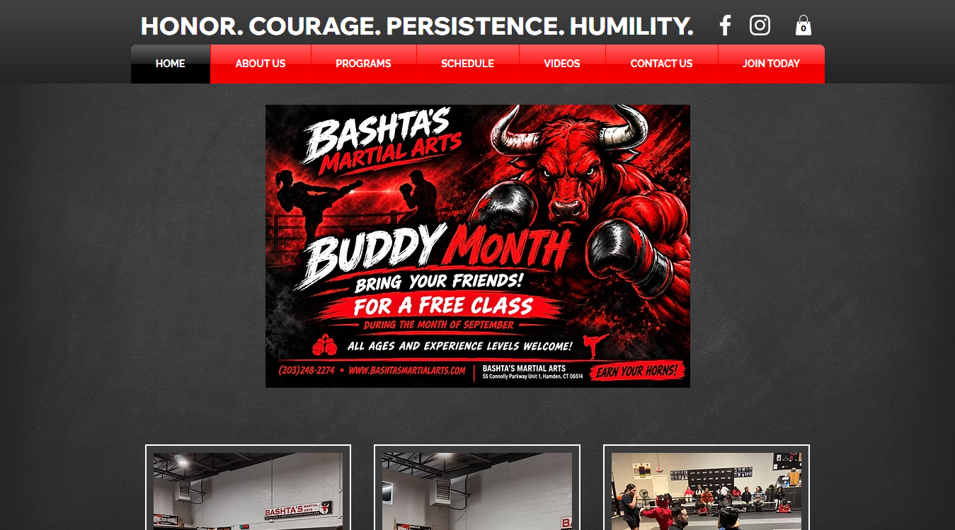 Website screenshot for Bashta's Martial Arts