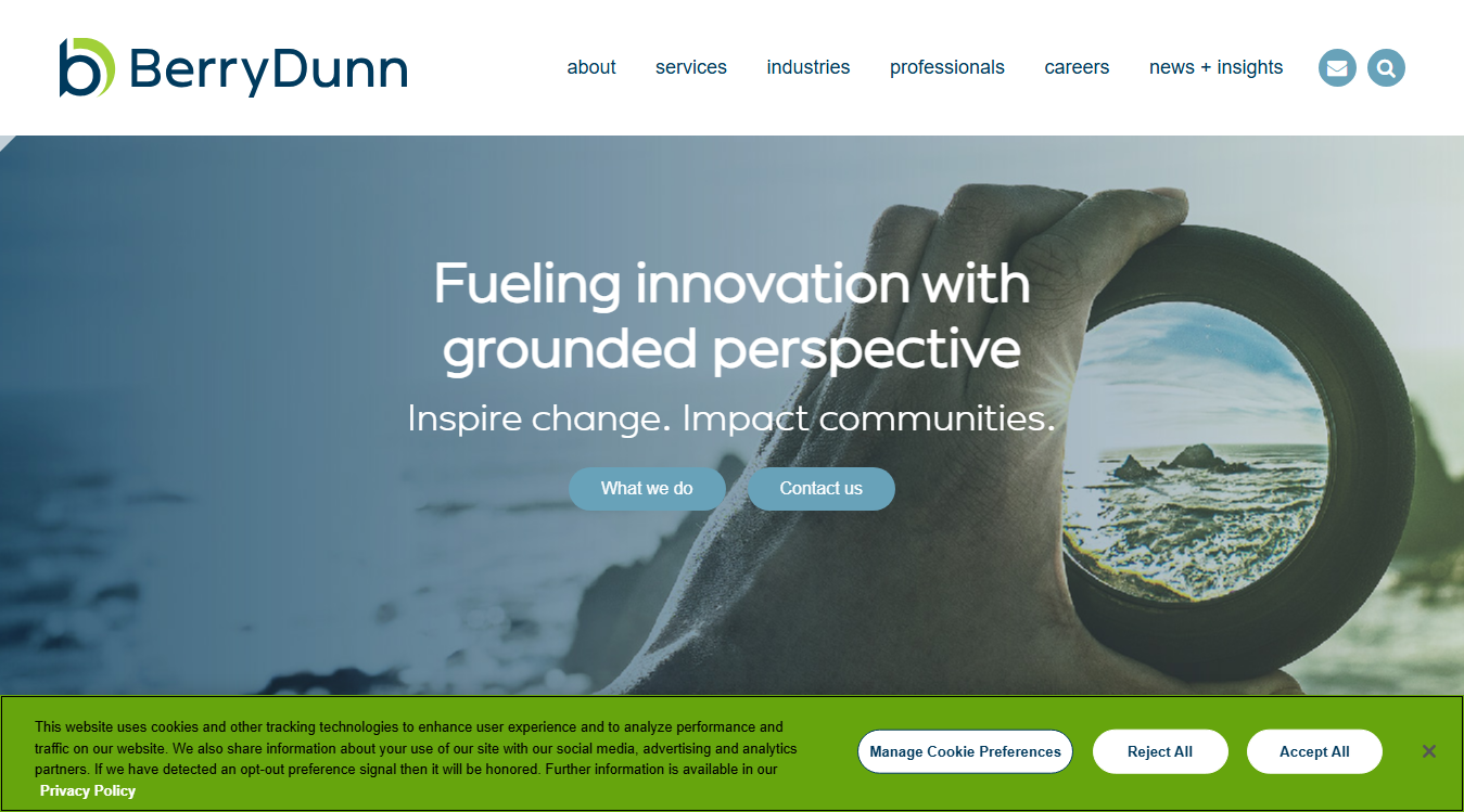 Website screenshot for Burzenski & Company