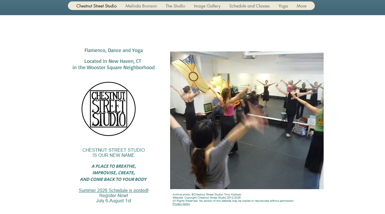 Website screenshot for Chestnut Street Studio