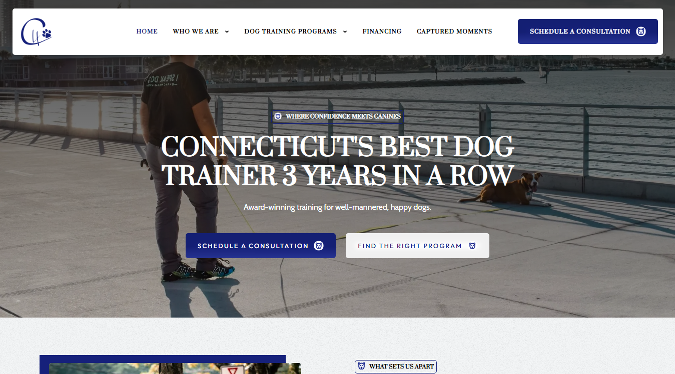 Website screenshot for Coaching 4 paws