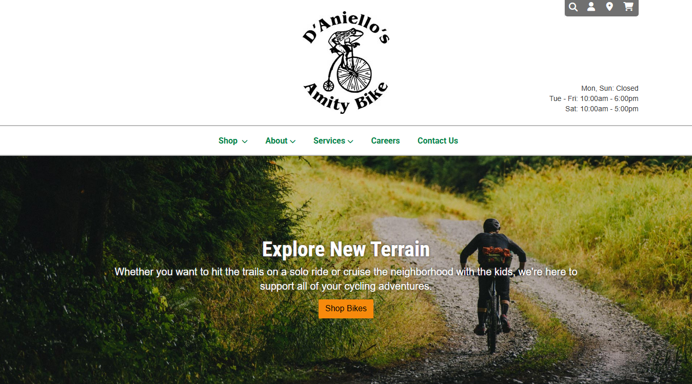 Website screenshot for D'Aniello's Amity Bicycles