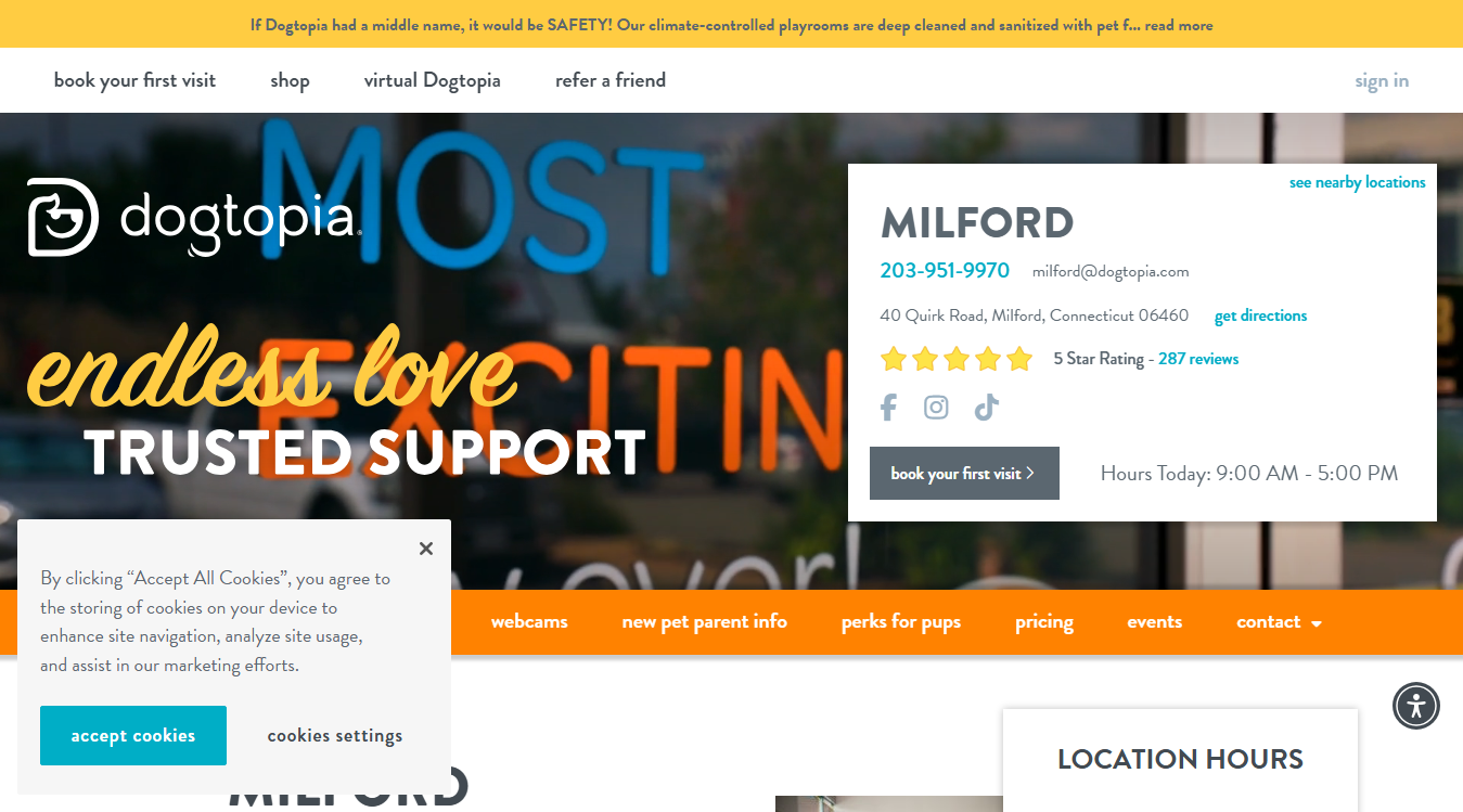 Website screenshot for Dogtopia of Milford