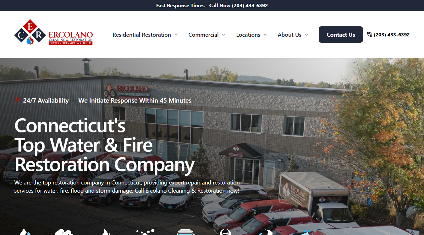 Website screenshot for Ercolano Cleaning & Restoration