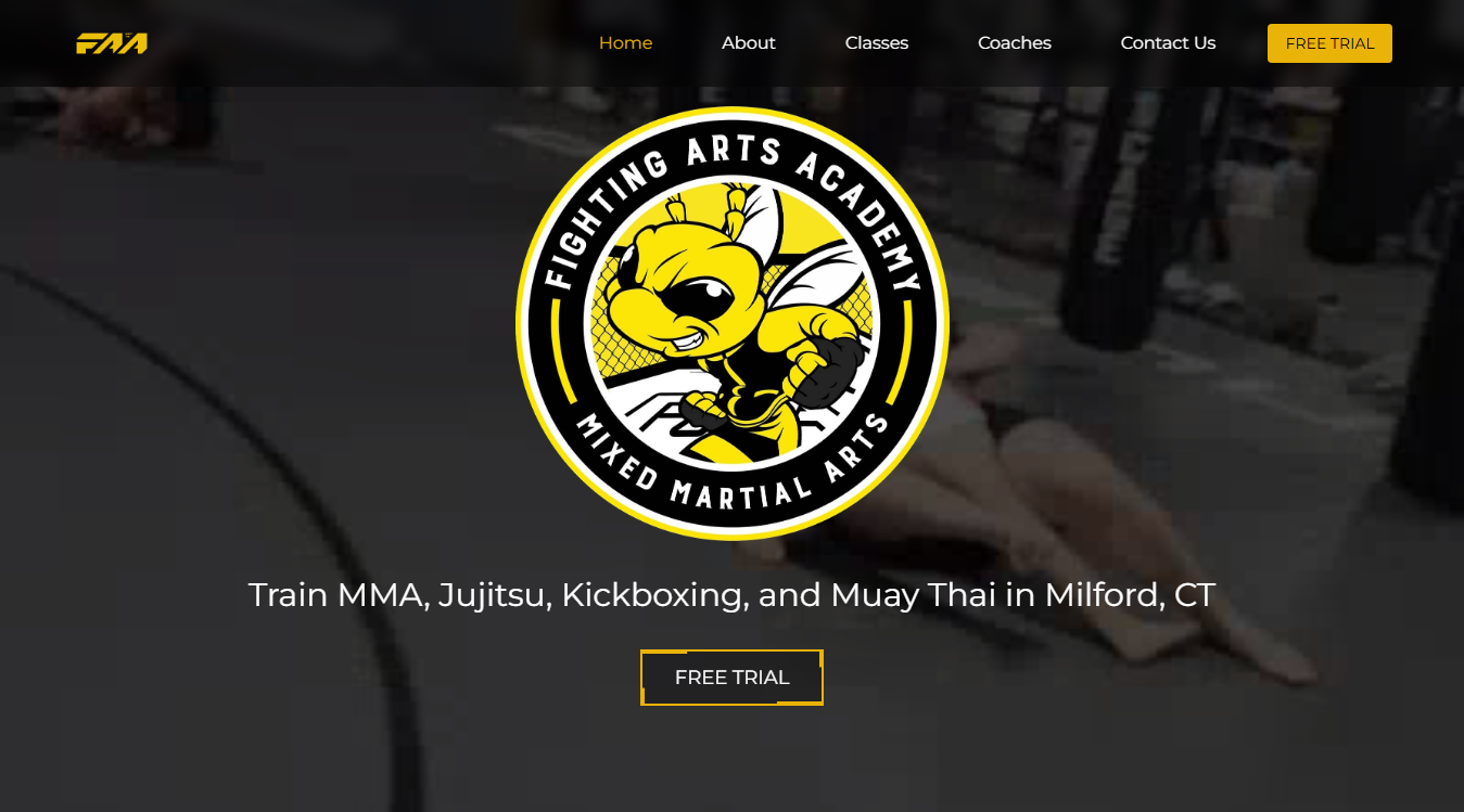 Website screenshot for Fighting Arts Academy CT
