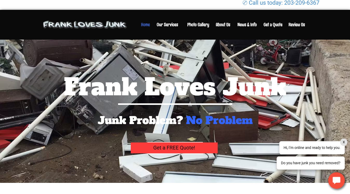 Website screenshot for Frank Loves Junk