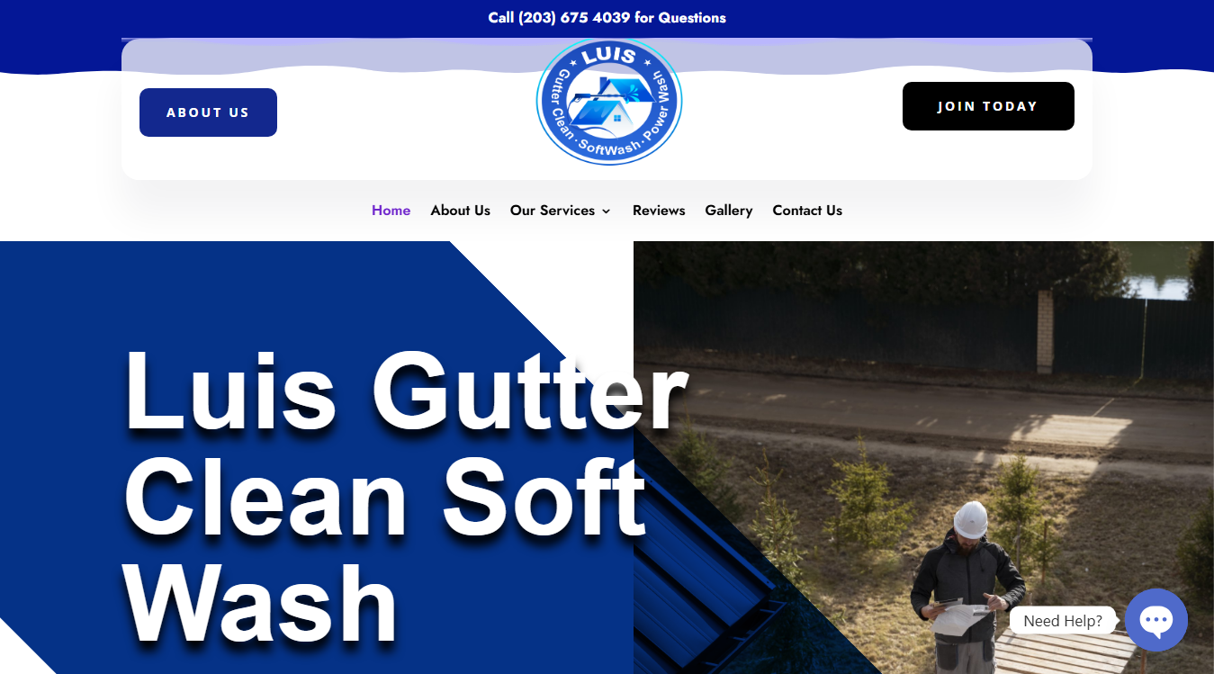 Website screenshot for Luis Gutter Clean soft wash