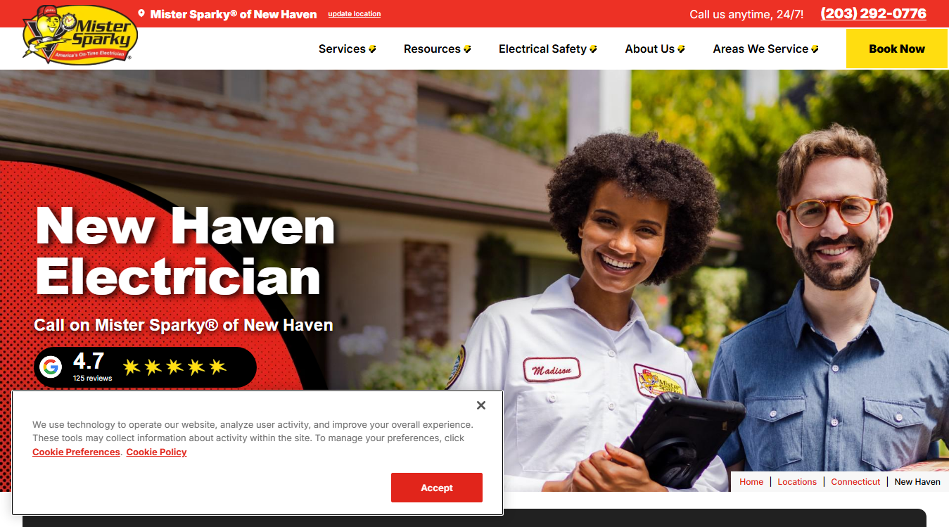 Website screenshot for Mister Sparky®