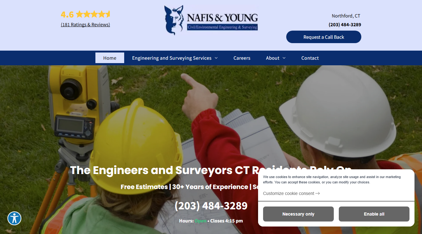 Website screenshot for Nafis & Young Engineers & Surveyors