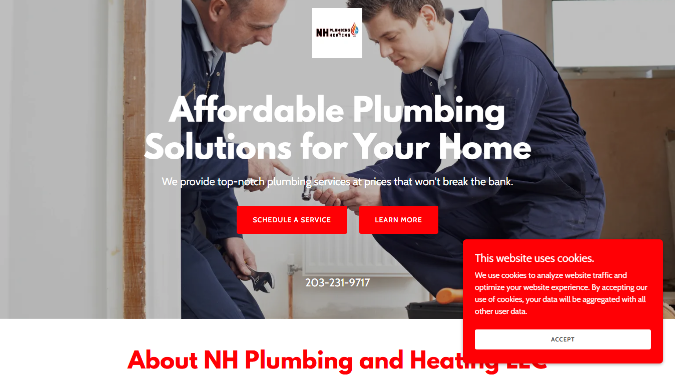 Website screenshot for NH Plumbing & Heating LLC