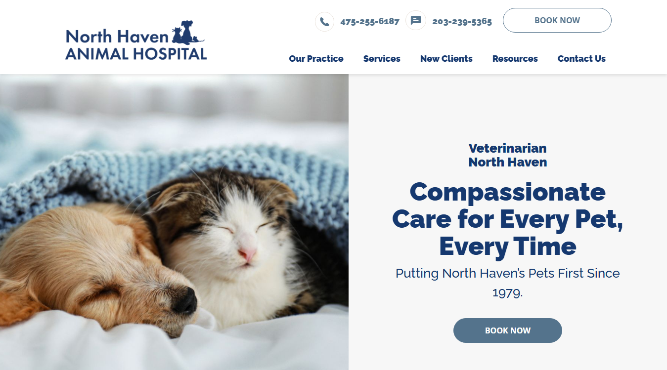 Website screenshot for North Haven Animal Hospital
