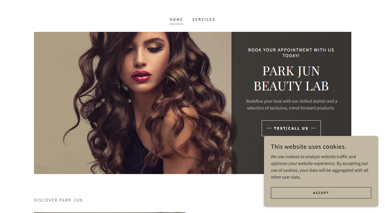 Website screenshot for Park Jun LLC