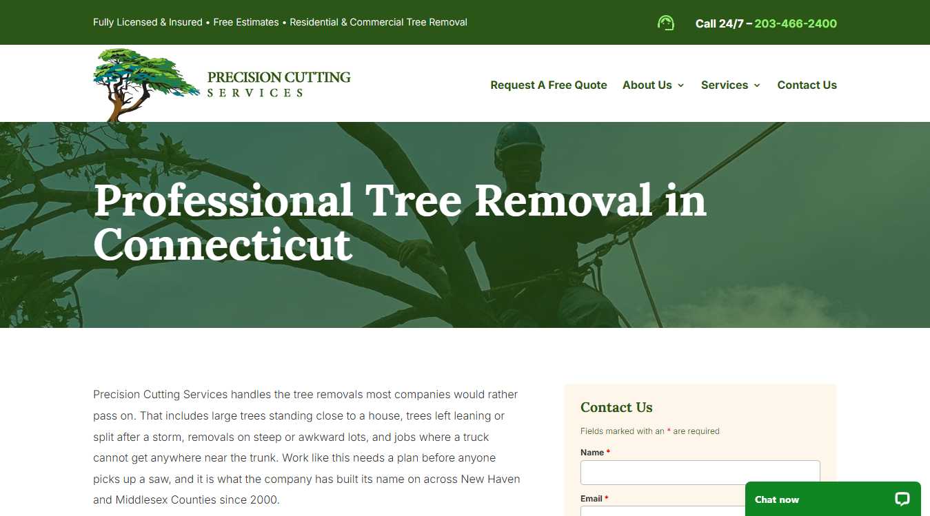 Website screenshot for Precision Cutting Services