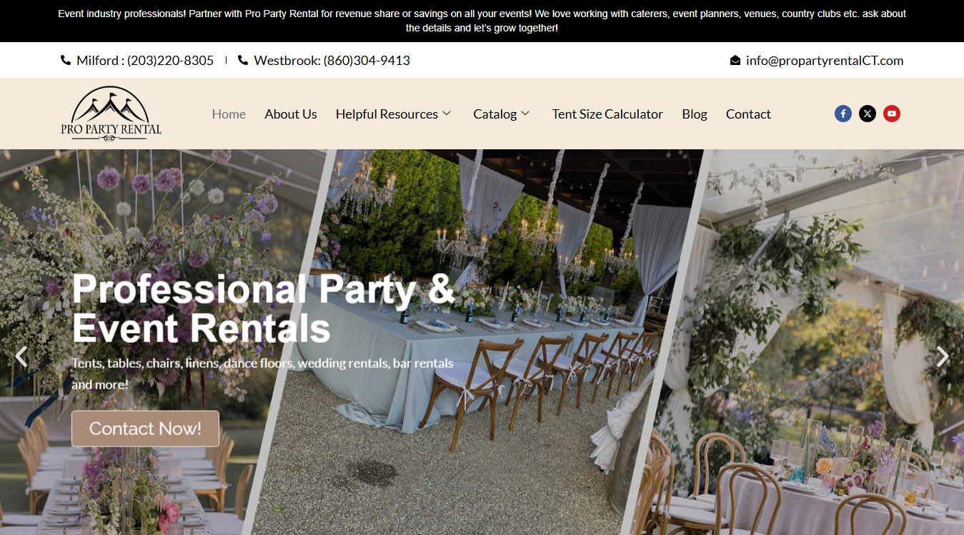Website screenshot for Professional Party Rental