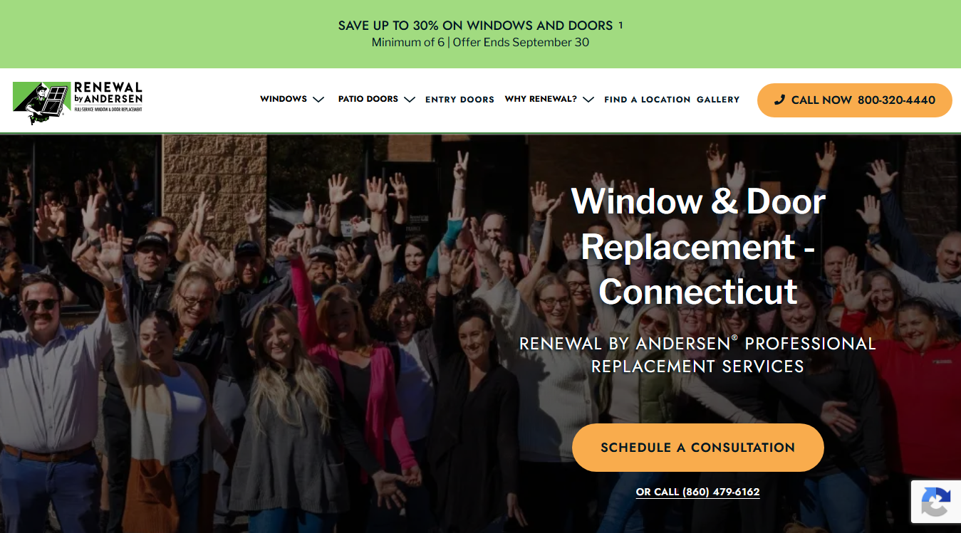 Website screenshot for Renewal by Andersen Window Replacement