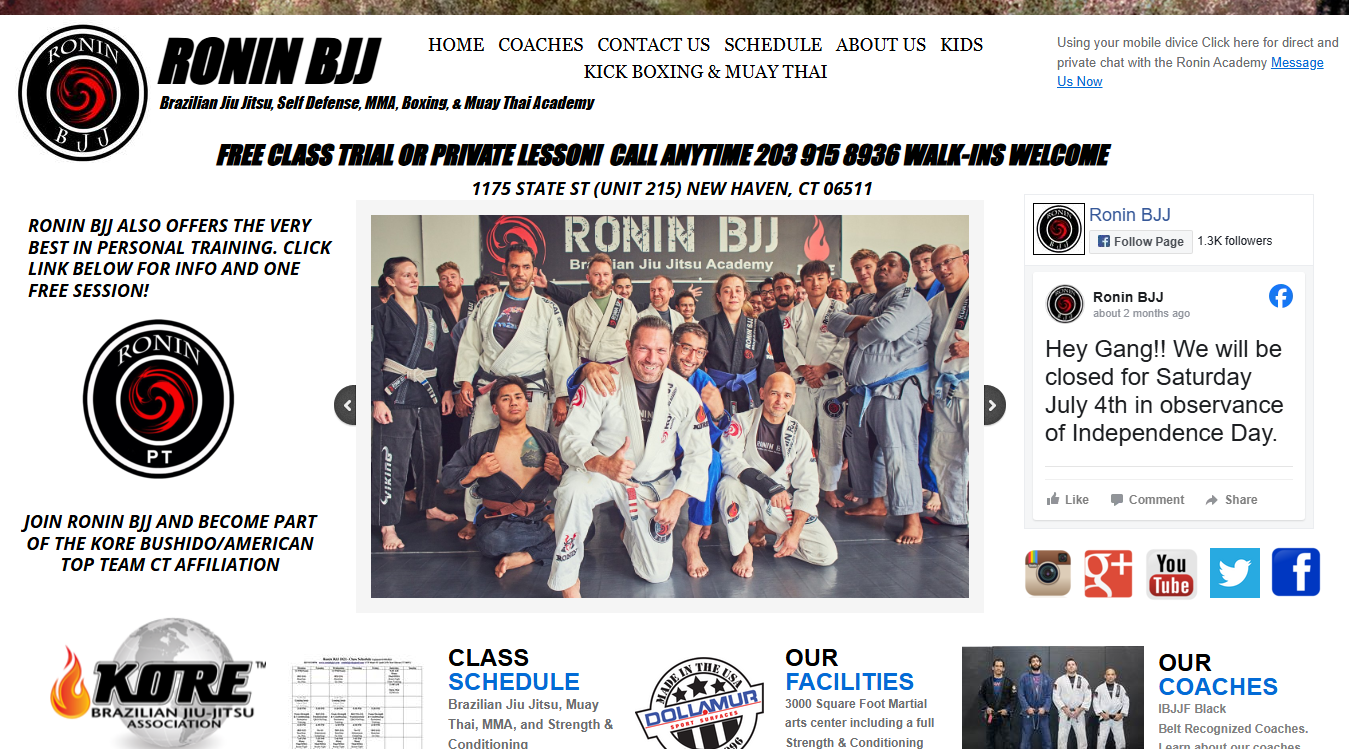 Website screenshot for Ronin BJJ