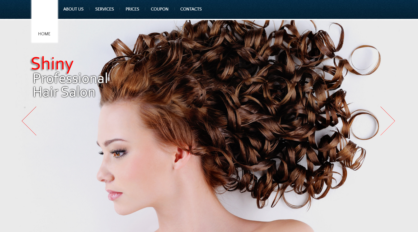 Website screenshot for Shiny Salon