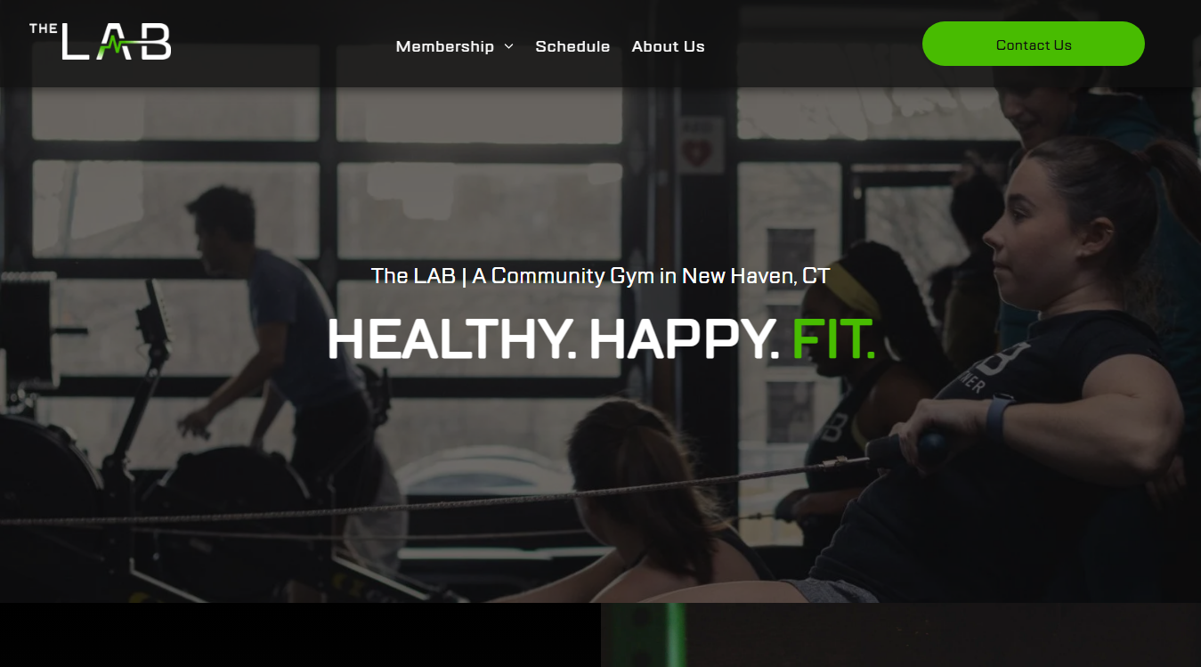 Website screenshot for The LAB