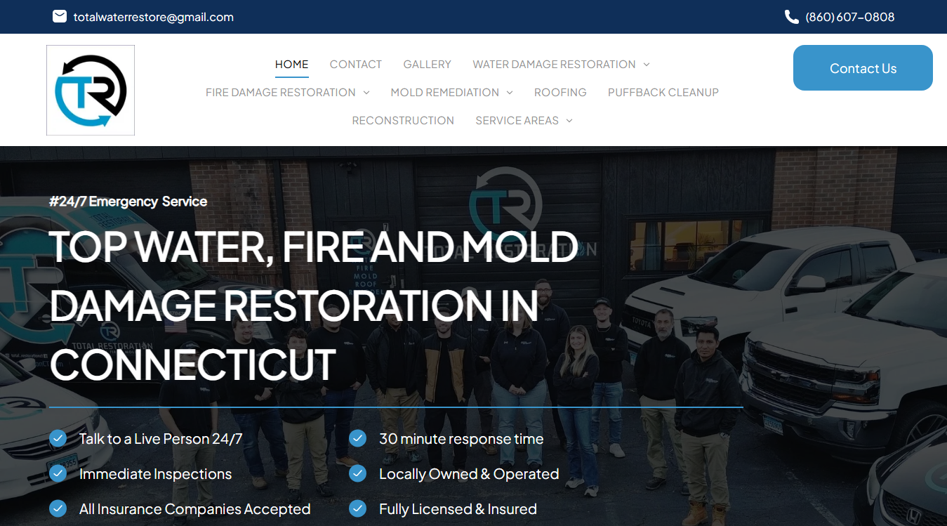 Website screenshot for Total Restoration