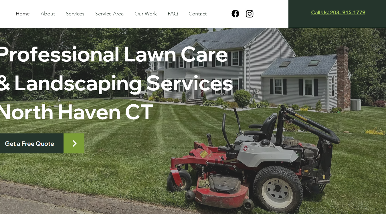 Website screenshot for Twins Lawn Care