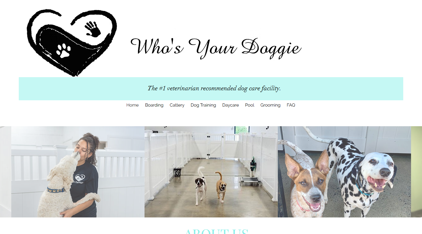 Website screenshot for Who's Your Doggie