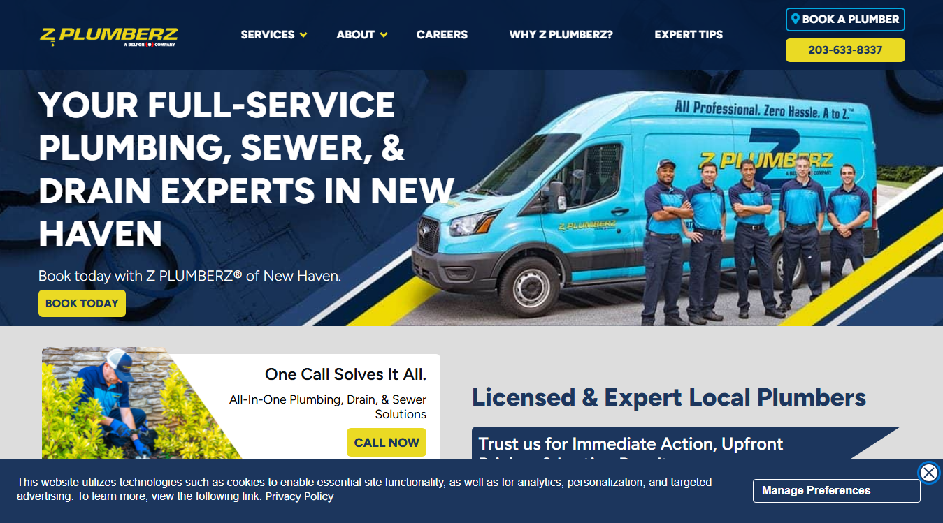 Website screenshot for Z Plumberz of New Haven