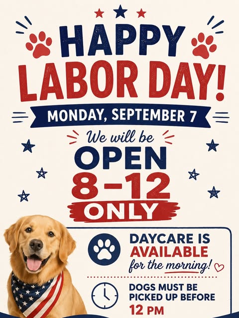 Instagram post by @shorelinepetlodge