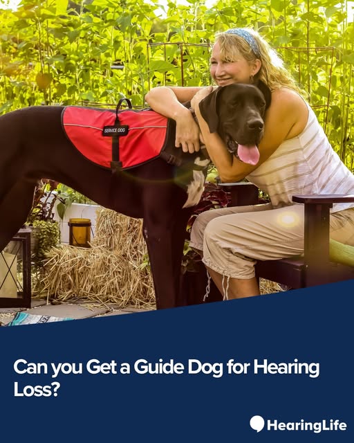 Instagram post by @hearinglife_usa